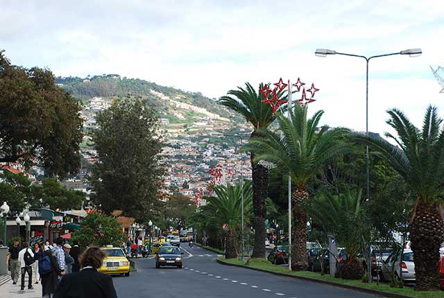 gal/2010 Madeira, Portugal/032.jpg